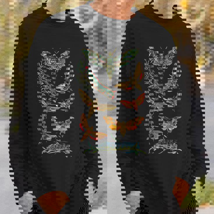 ヴィンテージ蛾 科学ギフト 昆虫 虫 イラスト スウェットシャツ 彼への贈り物