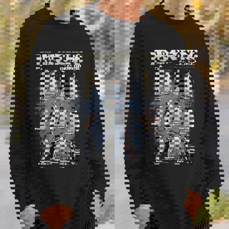 世界のペンギン 海洋生物学 ペンギン好き スウェットシャツ 彼への贈り物