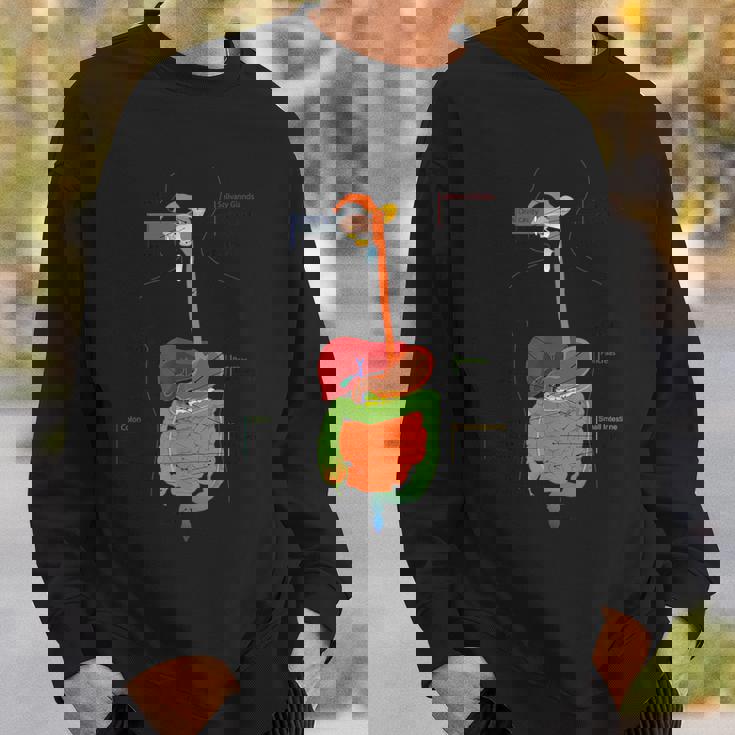 人体消化器系消化管の解剖学 スウェットシャツ 彼への贈り物