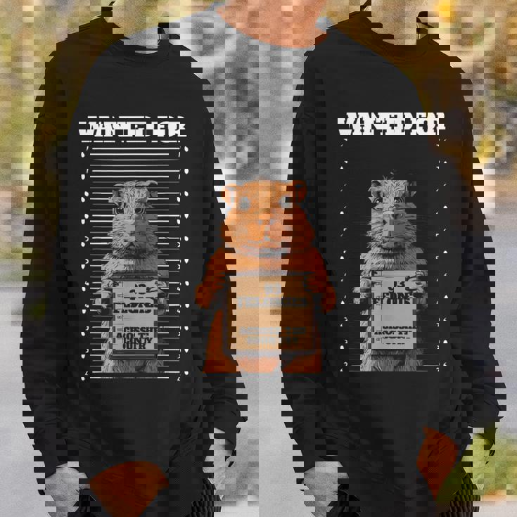 全国指名手配 重犯罪93件ハムスター スウェットシャツ 彼への贈り物