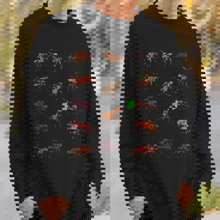 多くの種類のアリ スウェットシャツ 彼への贈り物