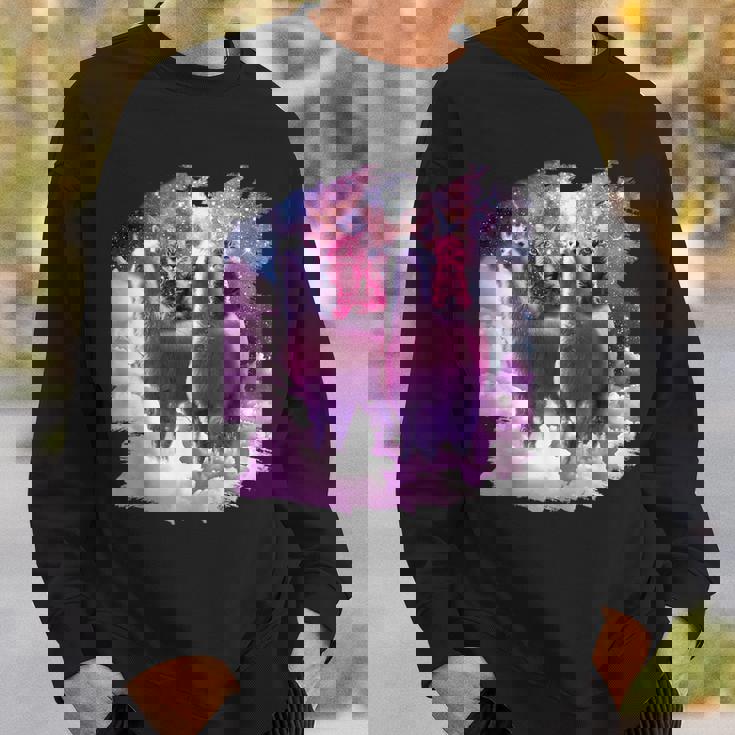 宇宙で虹色のラマに乗る子猫 スウェットシャツ 彼への贈り物