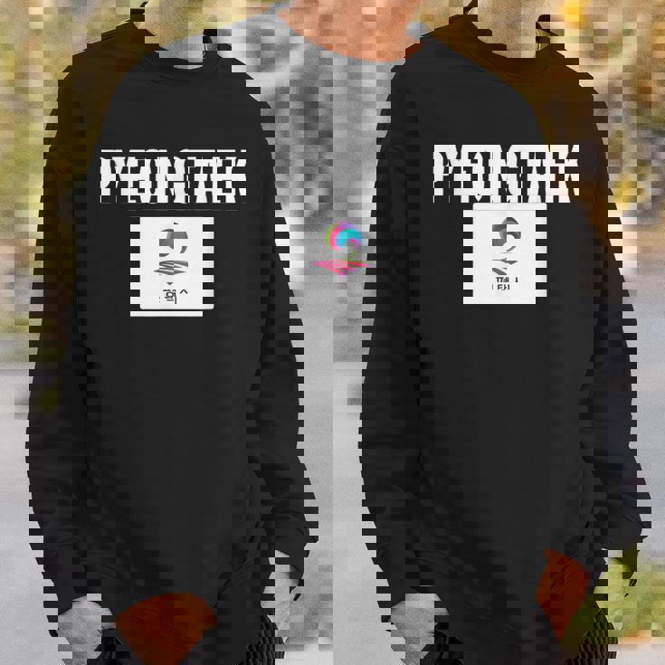 平沢旗 アパレル ナショナルプライド お土産ギフト スウェットシャツ 彼への贈り物