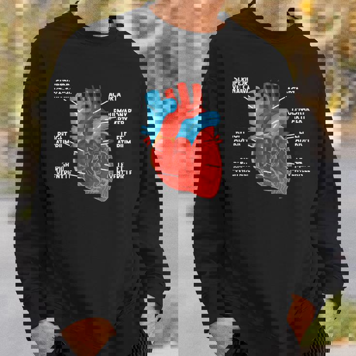 心臓解剖学教育 循環器学 スウェットシャツ 彼への贈り物