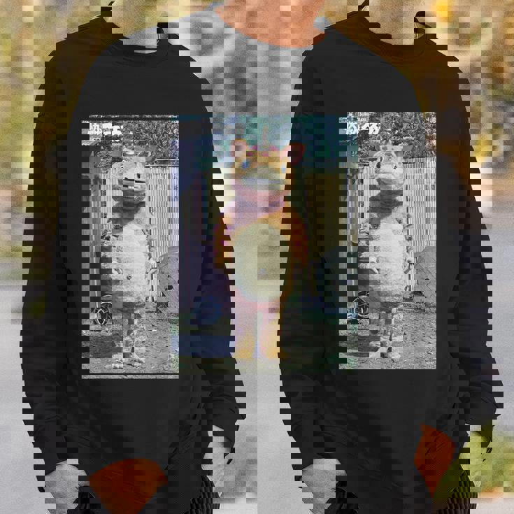 快獣ブースカシリーズ リアルスチール カラー スウェットシャツ 彼への贈り物