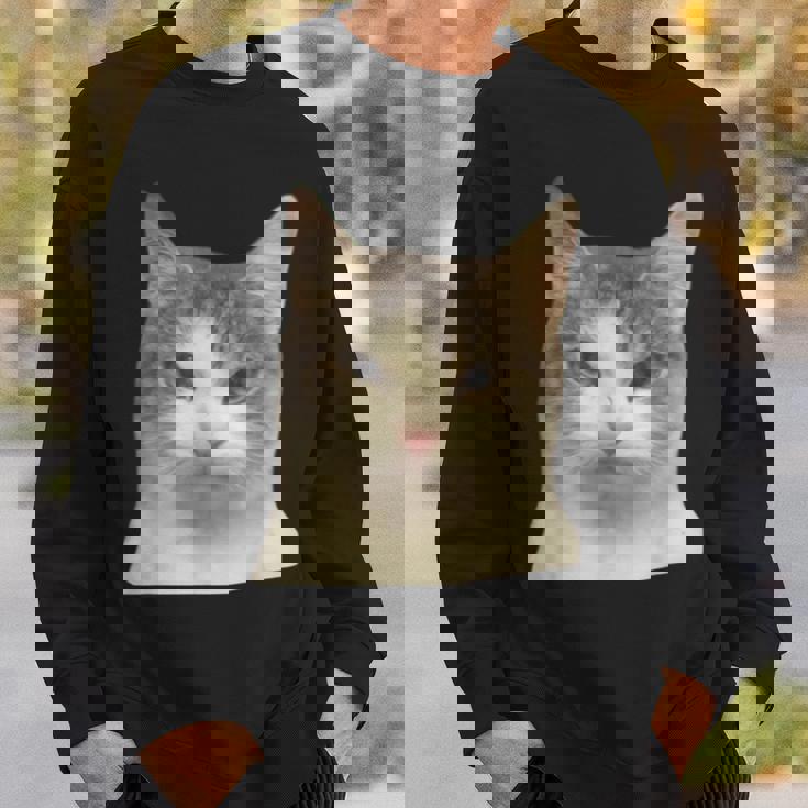 怒っている猫 リアル ミーム ウイルス インターネット スウェットシャツ 彼への贈り物