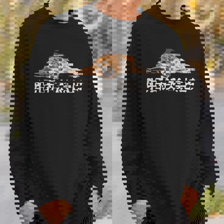 明日から本気出す ・ビーグルス ビーグル犬 面白い ビーグル愛好家に スウェットシャツ 彼への贈り物