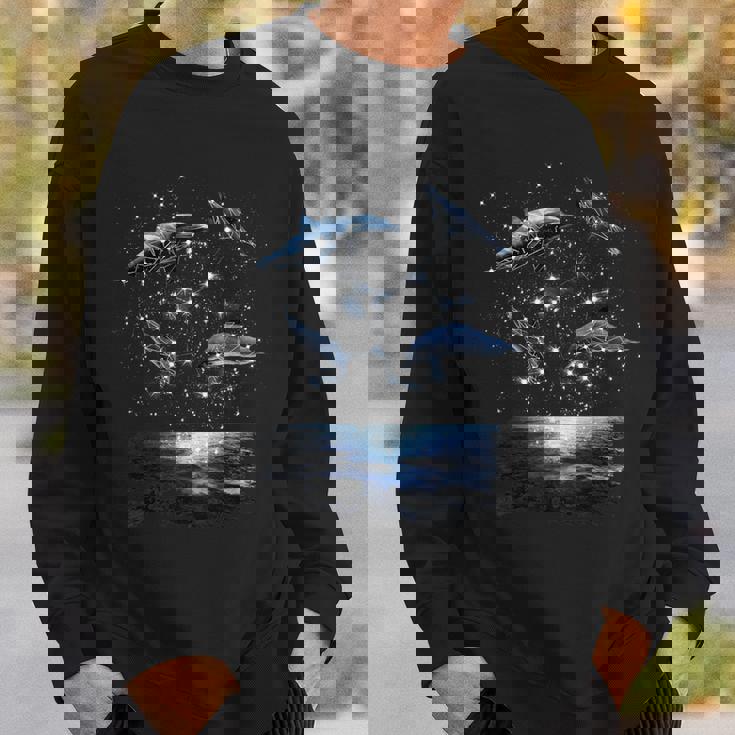 星座イルカ、天体宇宙銀河イルカ スウェットシャツ 彼への贈り物