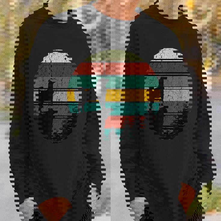 柴犬 グッズ 柴犬 犬ヴィンテージhiba Inu 柴犬 スウェットシャツ 彼への贈り物