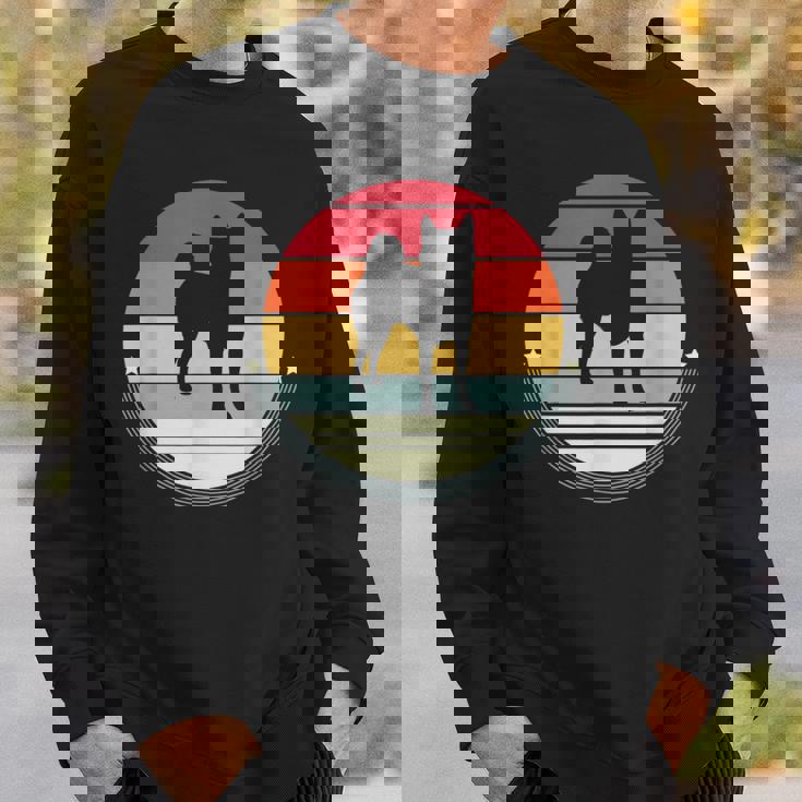 柴犬 シルエット レトロ ヴィンテージ 犬 オーナー レディース メンズ スウェットシャツ 彼への贈り物