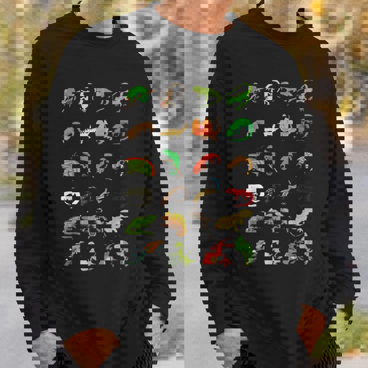 爬虫類 種別 かわいい ヤモリ トカゲ スウェットシャツ 彼への贈り物