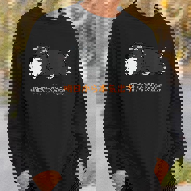 犬 おもしろ 明日から本気出すから 可愛い シュナウザー ミニチュアシュナウザー スウェットシャツ 彼への贈り物