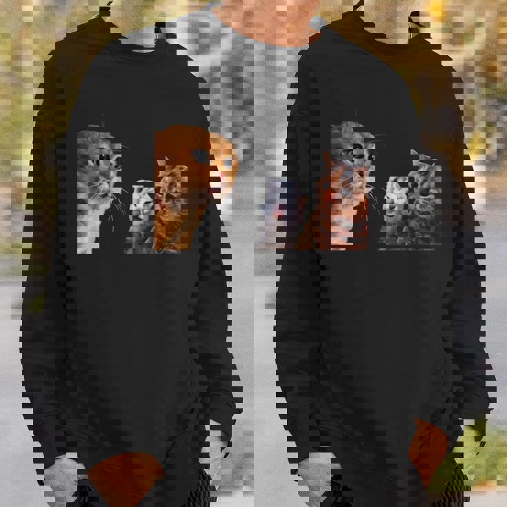 猫ミーム 説教する猫 怒られる猫 泣き叫ぶ猫 説教 怒る かわいい 面白い 人気 楽しい ハッピー スウェットシャツ 彼への贈り物