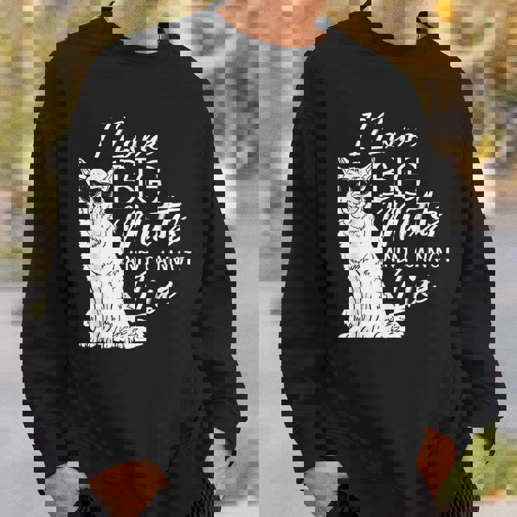 私は大きな雑種が大好きで、犬救助犬シェルターに嘘はつかない スウェットシャツ 彼への贈り物