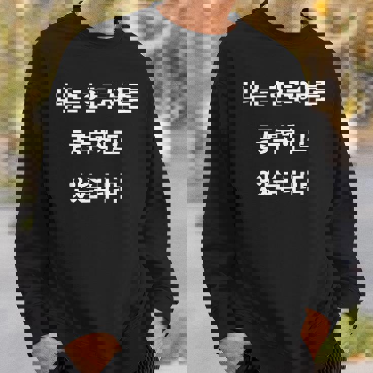 私は韓国語ハングル学習者kdramakoreaで韓国語を勉強しています スウェットシャツ 彼への贈り物