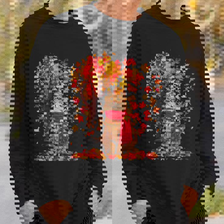 秋 猫 赤いスカーフ 紅葉 かわいい 猫 ママ 滝 スウェットシャツ 彼への贈り物