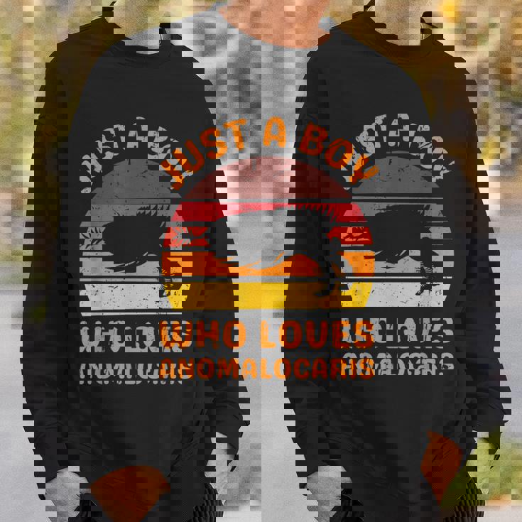 絶滅した節足動物アノマロカリスが大好きなただの少年 スウェットシャツ 彼への贈り物