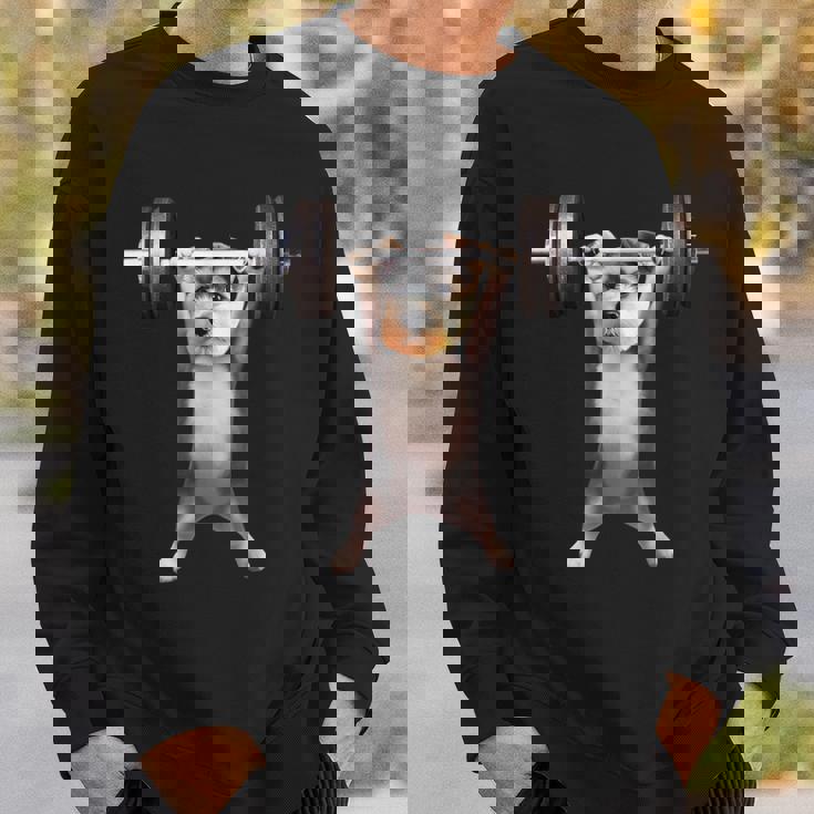 面白いtシャツ シュナウザー 犬 イヌ わんこ メンズ 犬好き グッズ かわいい 面白い 服 ネタ 筋トレ スウェットシャツ 彼への贈り物