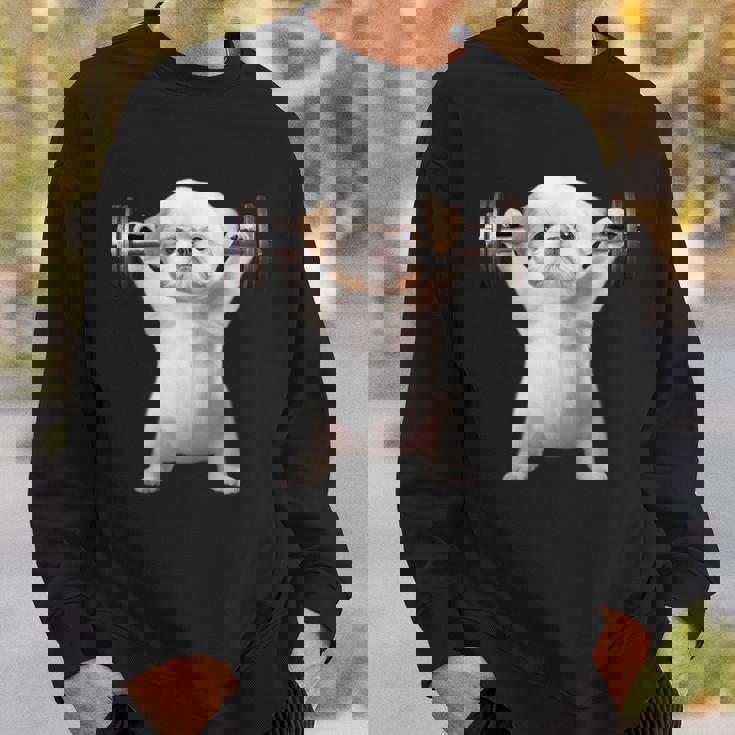 面白いtシャツ シーズー 犬 イヌ わんこ メンズ 犬好き グッズ かわいい 面白い 服 ネタ 筋トレ スウェットシャツ 彼への贈り物