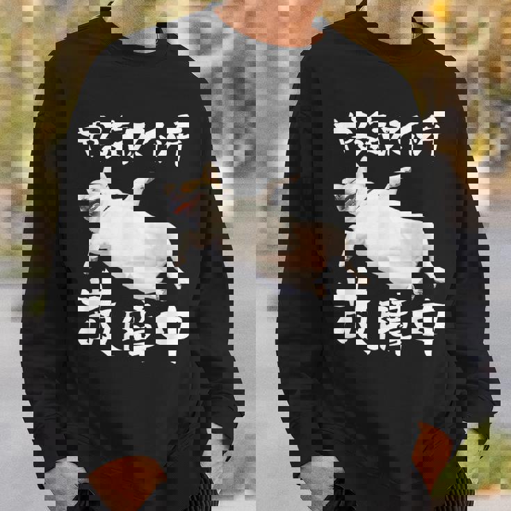 面白いtシャツ チワワ やる気スイッチ イヌ わんこ メンズ 犬好き グッズ おもしろ 面白い 服 ネタ スウェットシャツ 彼への贈り物