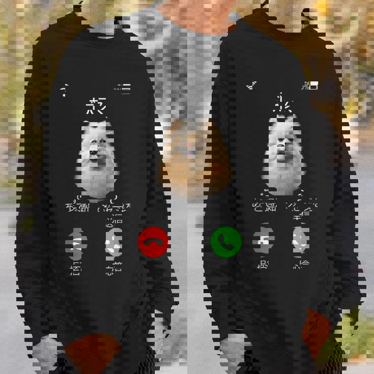 面白いtシャツ ポメラニアン 着信 犬 イヌ メンズ グッズ かわいい おもしろ 面白い 服 ネタ わんこ スウェットシャツ 彼への贈り物