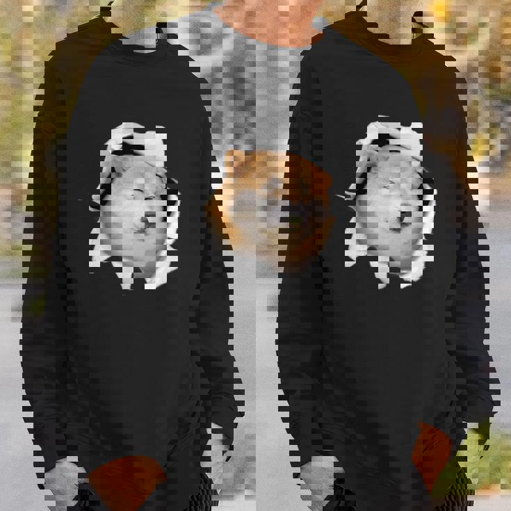 面白いtシャツ 柴犬 シバイヌ 犬 イヌ わんこ メンズ 犬好き グッズ かわいい 面白い 服 ネタ スウェットシャツ 彼への贈り物