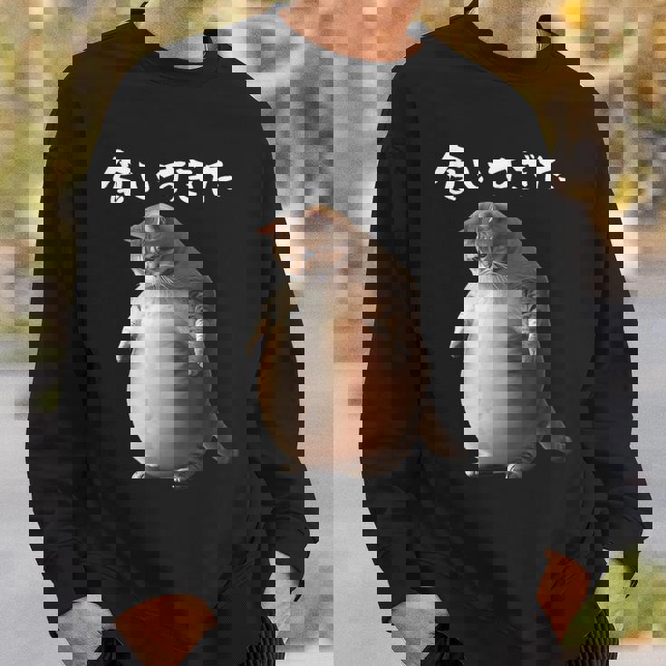 面白いtシャツ 猫 ネコ メンズ 猫好き グッズ おもしろ 面白い 服 ネタ にゃんこ 猫の下僕 ダイエット スウェットシャツ 彼への贈り物