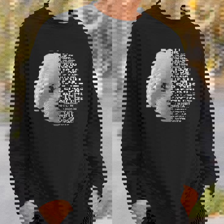 面白いマルチーズtシャツ マルチーズ子犬愛好家向け スウェットシャツ 彼への贈り物