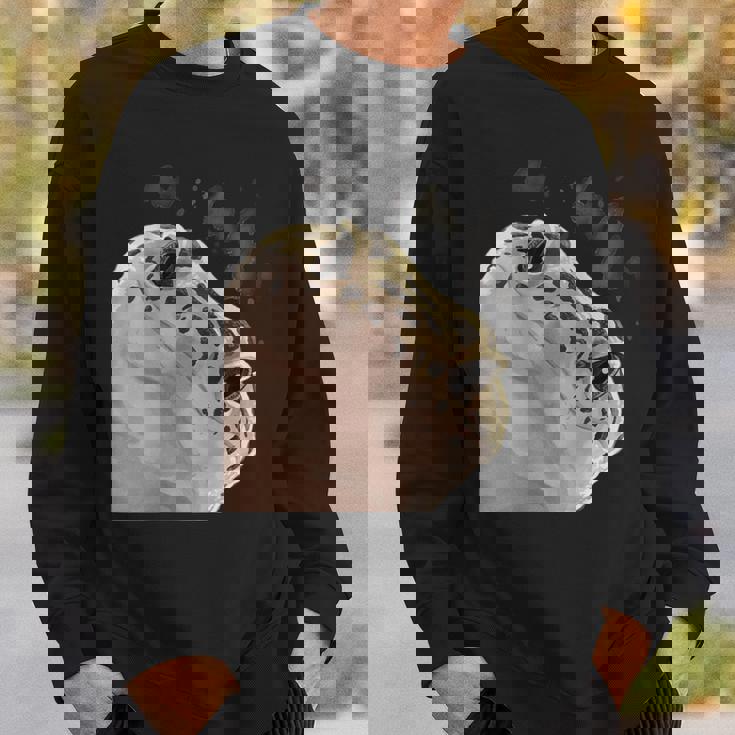 面白い好奇心が強い爬虫類ヒョウモントカゲモドキ スウェットシャツ 彼への贈り物