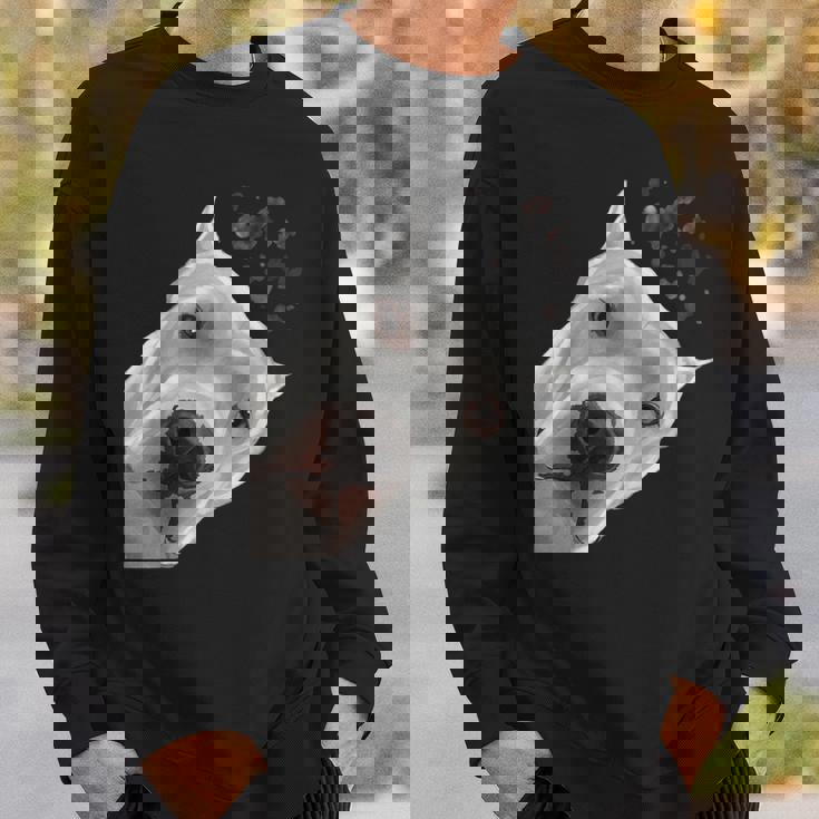 面白い好奇心旺盛な犬ドゴアルヘンティーノ スウェットシャツ 彼への贈り物