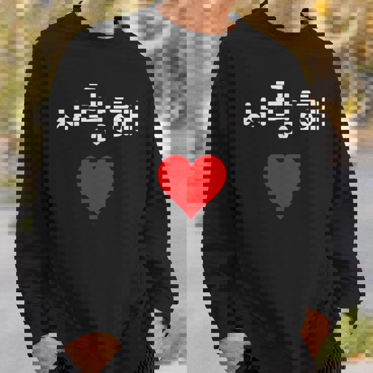 韓国ハングルサランヘ愛してるkdramak-Pop韓国 スウェットシャツ 彼への贈り物