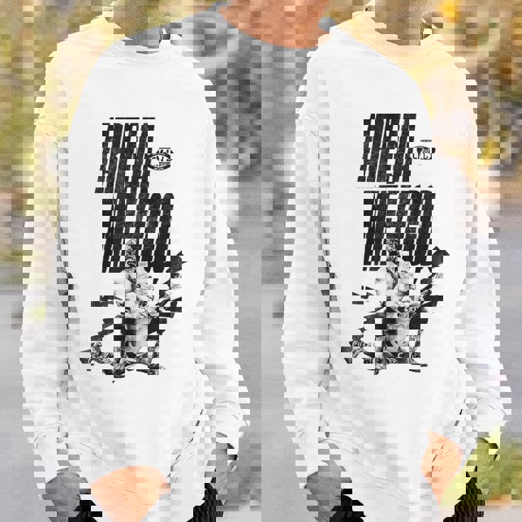 Consejo ムンディアルデルーチャリブレ-アリーナメキシコ スウェットシャツ 彼への贈り物