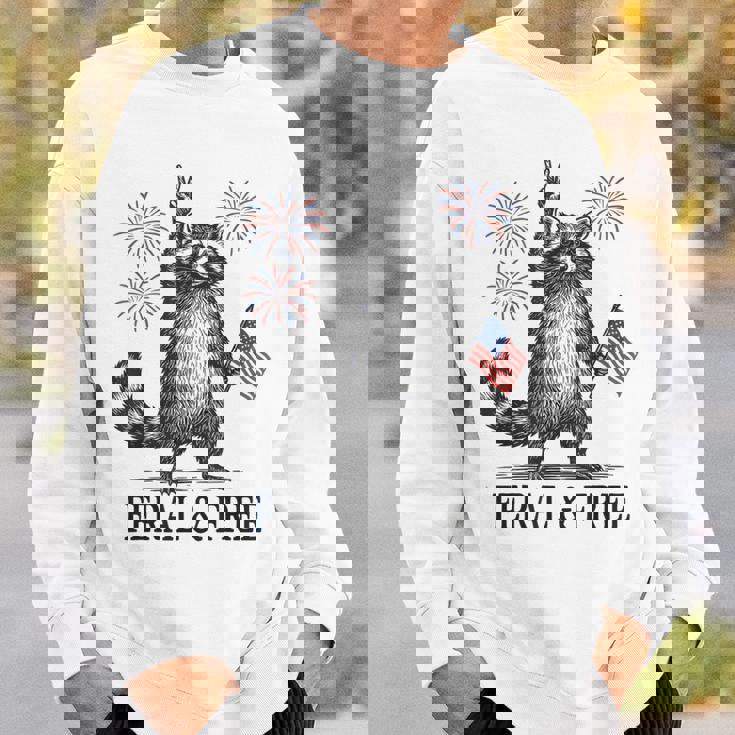 Feral And Free Raccoon Raccoon 4Th Of July Usa Flag Sweatshirt Gifts for Him