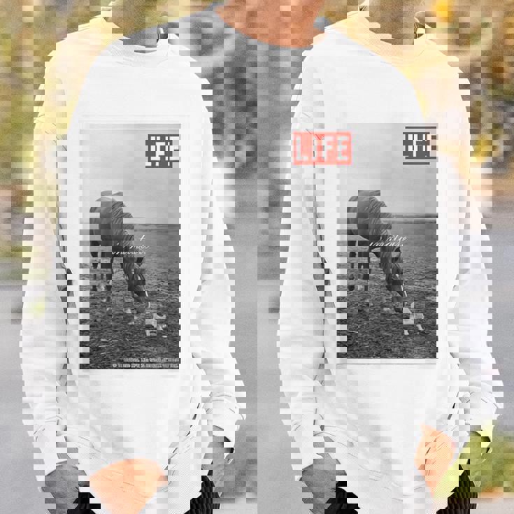 Life Picture Collection 馬と猫（1） スウェットシャツ 彼への贈り物