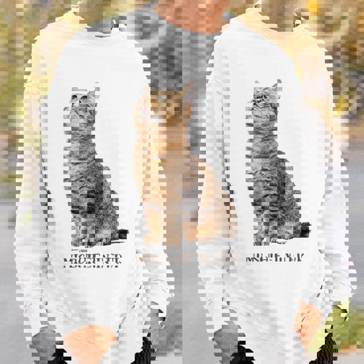 Mischief In Fur 猫写真 キジトラ 猫好き ネタ 猫しもべ 猫飼い 猫依存症 猫オーナー スウェットシャツ 彼への贈り物