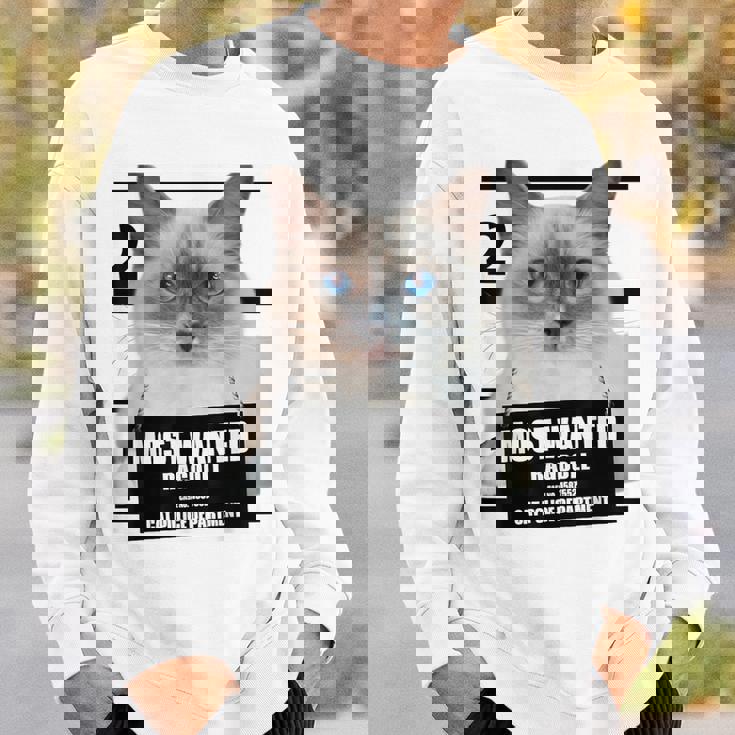 Most Wanted ラグドール ラグドール 猫 スウェットシャツ 彼への贈り物