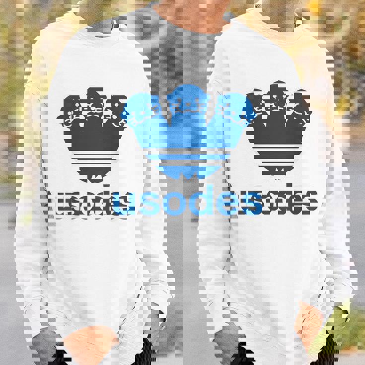 【バックプリント・背中側】ウソデス Usodes かわうそです。《ブルー 青》スポーツ ブランド パロディ 面白い スウェットシャツ 彼への贈り物