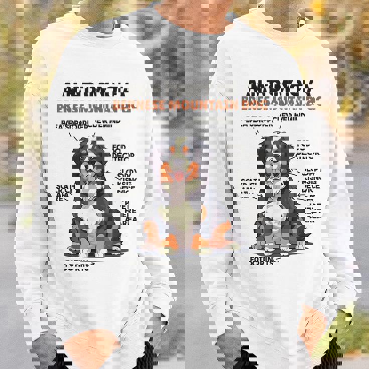 かわいい犬の説明 バーニーズ・マウンテン・ドッグの解剖学 スウェットシャツ 彼への贈り物