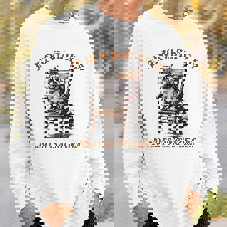 アライグマのミーム It's What It's And It Is Not Greatarcastic スウェットシャツ 彼への贈り物