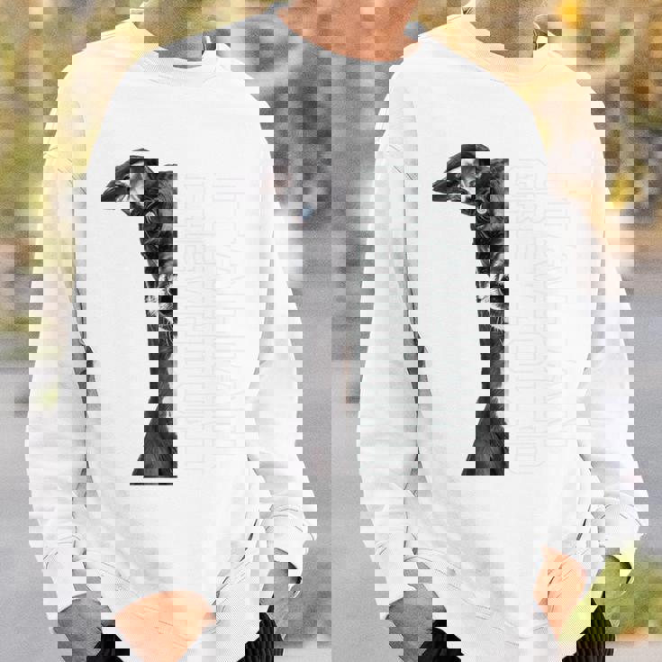 イタリアングレイハウンド 長袖tシャツ スウェットシャツ 彼への贈り物