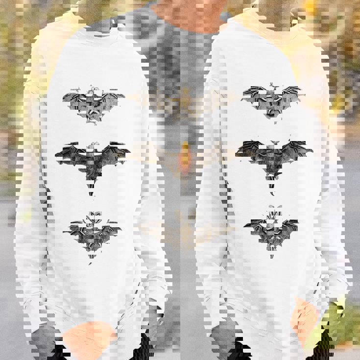 コウモリ 科学イラスト 描画 生物学 アート ハロウィン スウェットシャツ 彼への贈り物