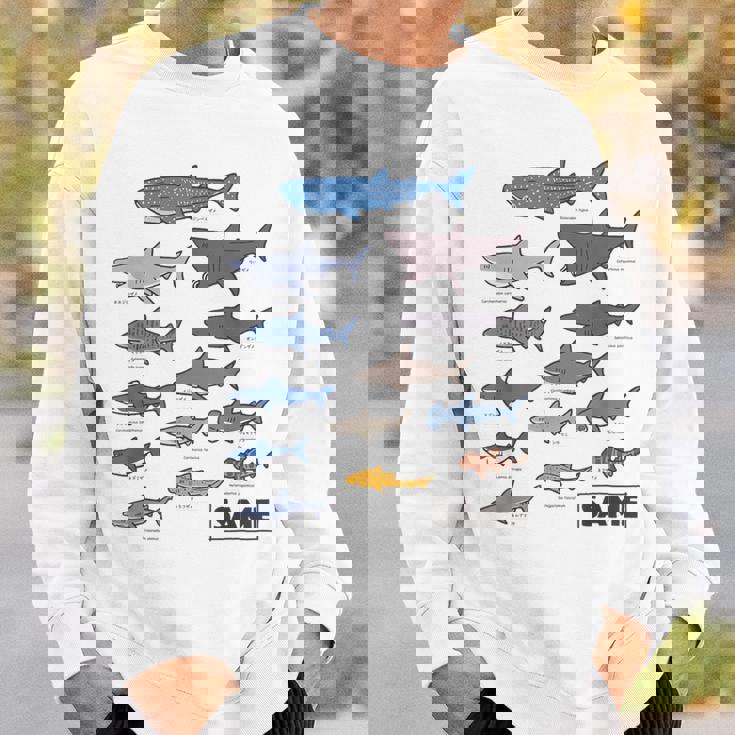 サメ図鑑 スウェットシャツ 彼への贈り物