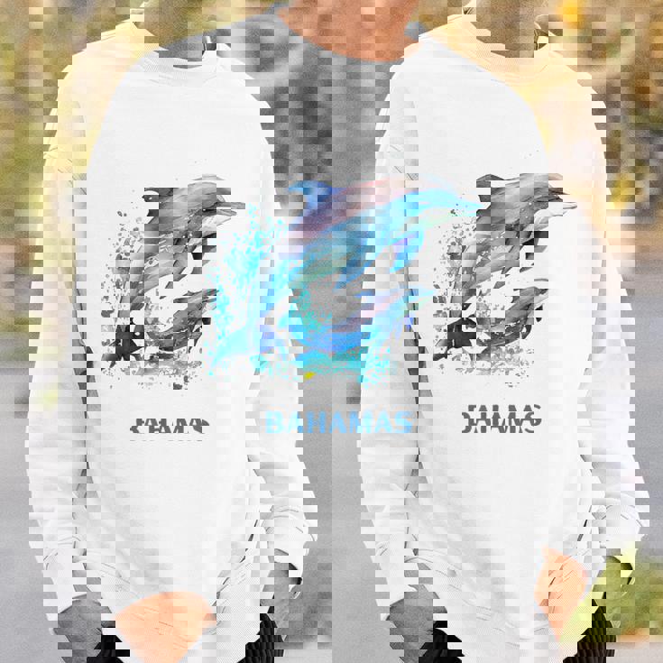 ドルフィン バケーション ヴィンテージ バハマ ビーチ デスティネーション スウェットシャツ 彼への贈り物