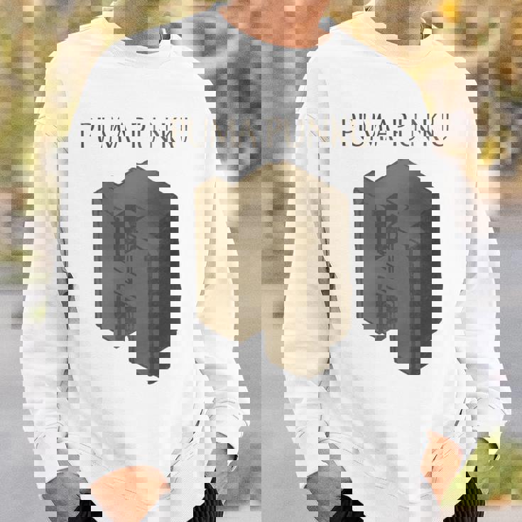 プーマ プンク 長袖tシャツ スウェットシャツ 彼への贈り物