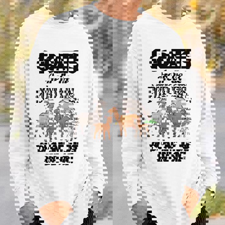 ヤギの恋人たちのためのヤギシャツ 農場アパレル ミームパンファニーヤギ 長袖tシャツ スウェットシャツ 彼への贈り物