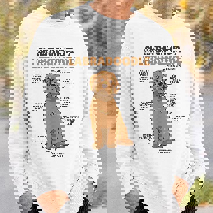 ラブラドゥードルの解剖学かわいい犬面白い犬ラブラドゥードル スウェットシャツ 彼への贈り物