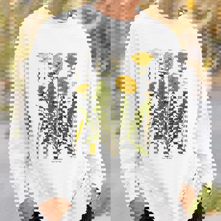 ヴィンテージ タンポポ チャート タンポポポ ボタニカル スウェットシャツ 彼への贈り物