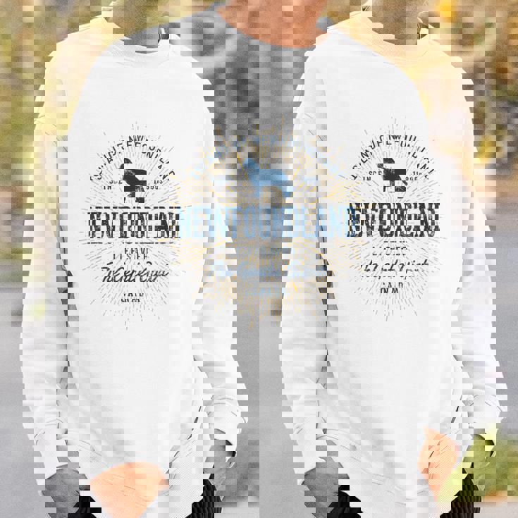 ヴィンテージ ニューファンドランド レトロ スウェットシャツ 彼への贈り物