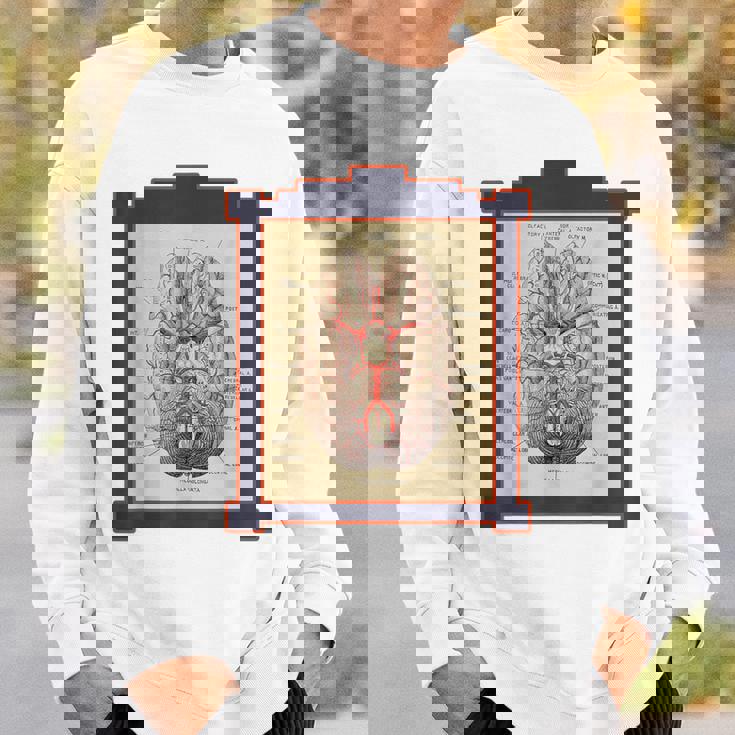 ヴィンテージ 人間の脳 解剖図 スウェットシャツ 彼への贈り物
