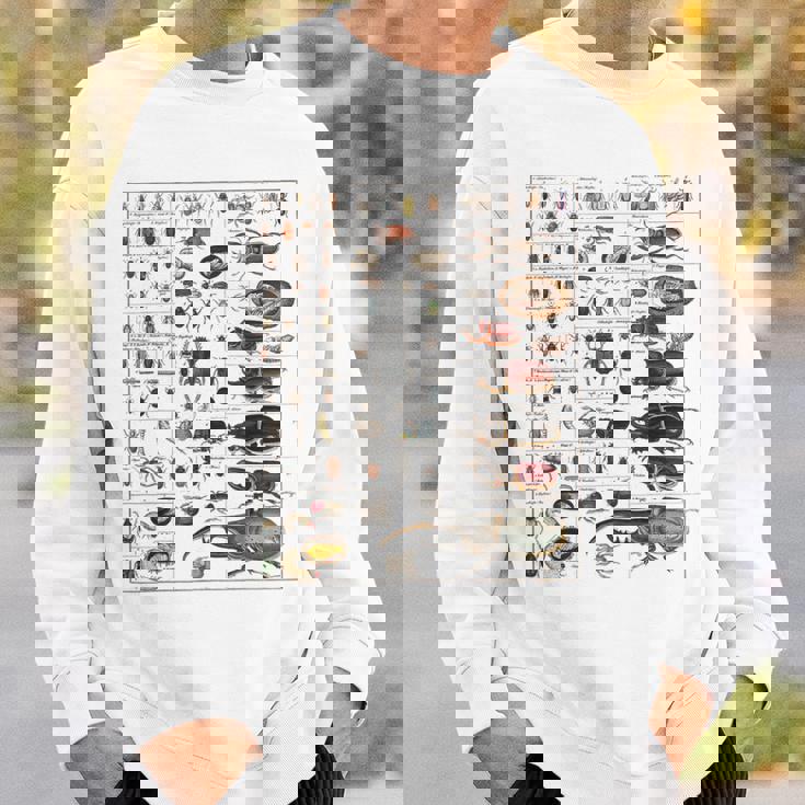 昆虫の種類 ビンテージバグ同定科学 スウェットシャツ 彼への贈り物